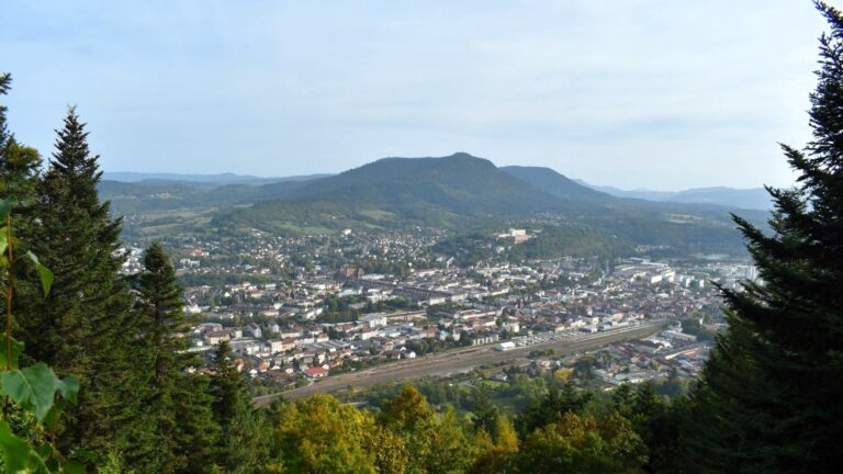 Réseau professionnel à Saint-Dié-des-Vosges