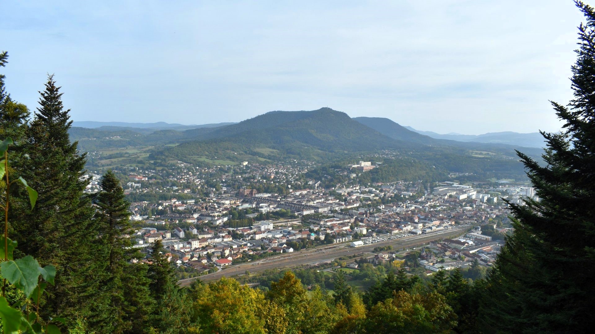 Réseau professionnel à Saint-Dié-des-Vosges